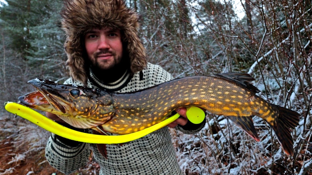 HAUKEA JÄTTIKOKOISELLA UISTIMELLA - TESTATAAN JA TEHDÄÄN 44 CM JÄTTILÄIS SHÄDEJÄ