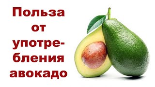 Красивая кожа и снижение уровня холестерина