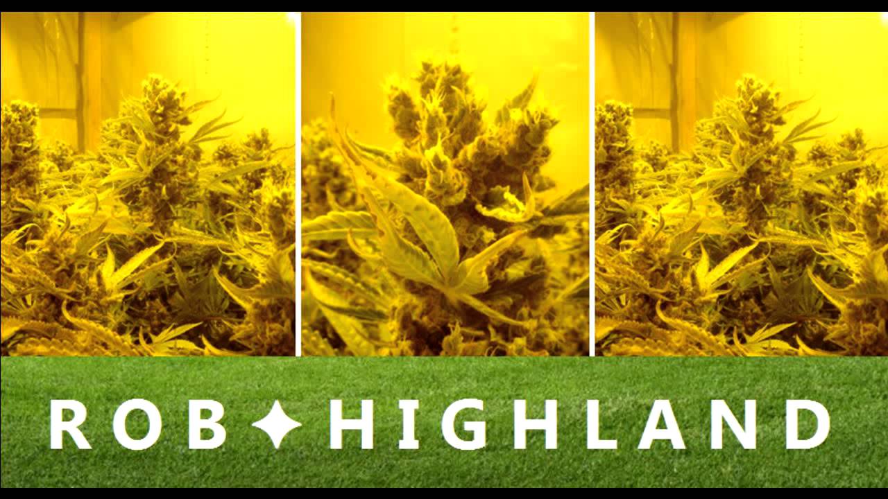 ROB ✦ HIGHLAND - Serious Consequences (original hip-hop beat)