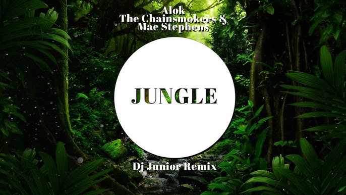 Alok, The Chainsmokers & Mae Stephens - Jungle (Official Video) 