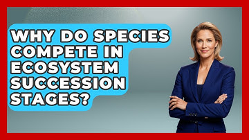 Why Do Species Compete In Ecosystem Succession Stages? - Explaining Ecology
