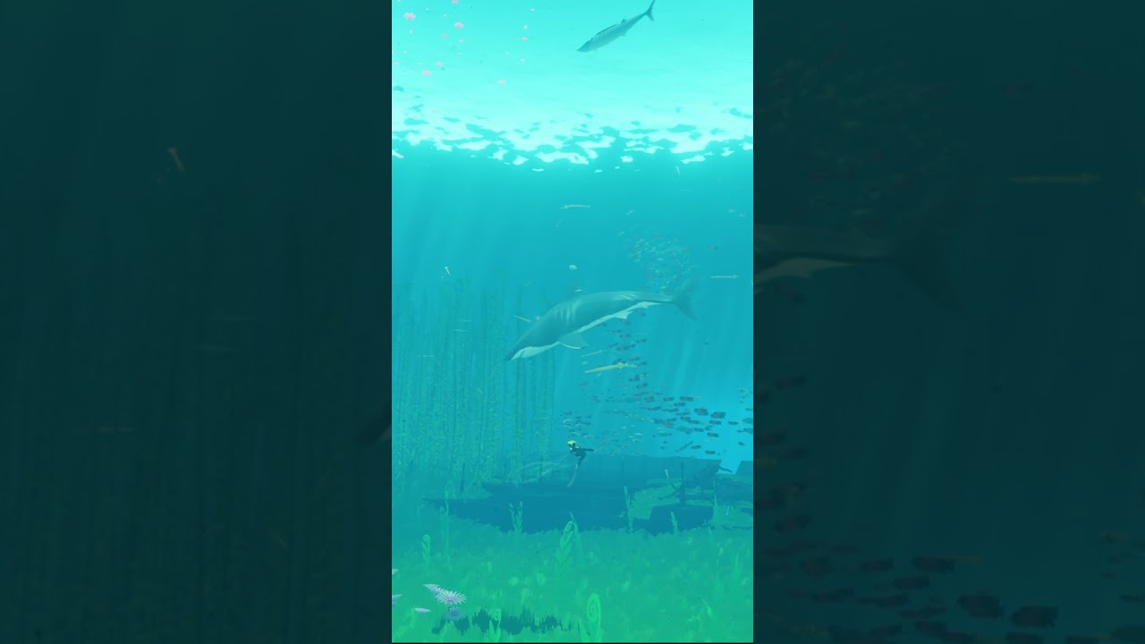 ABZÛ | Shark Week 2024 - Great White Shark