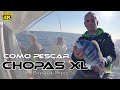 Como PESCAR CHOPAS XL por Enrique Perez