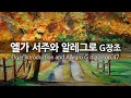 엘가 서주와 알레그로 G장조 op.47 | Elgar Introduction and Allegro G major op.47 | 할레 오케스트라 | Repeat 2 times