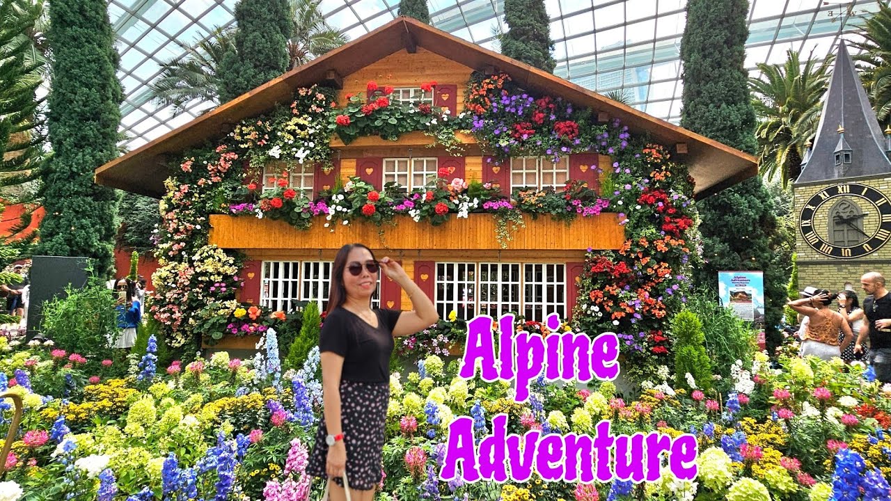 ALPINE ADVENTURE STARRING BEGONIAS AT FLOWER DOME GARDENS BY THE BAY