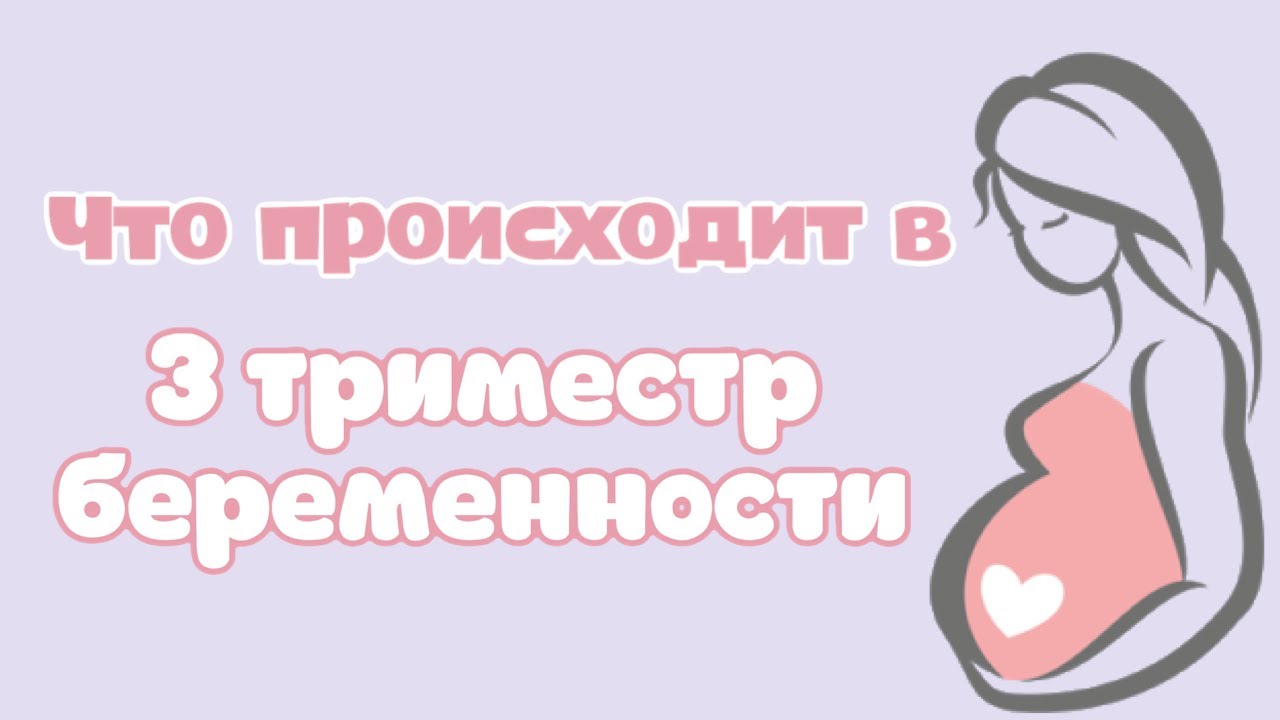 Особенности триместров беременности. 3 Триместр беременности. 2 Триместр беременности. Последний триместр беременности. Триместры беременности.