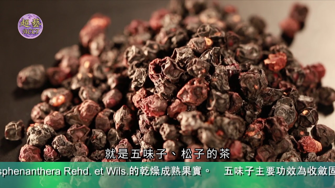 世說本草 第32集 五味子the Chinese Materia Medica For Us All Youtube