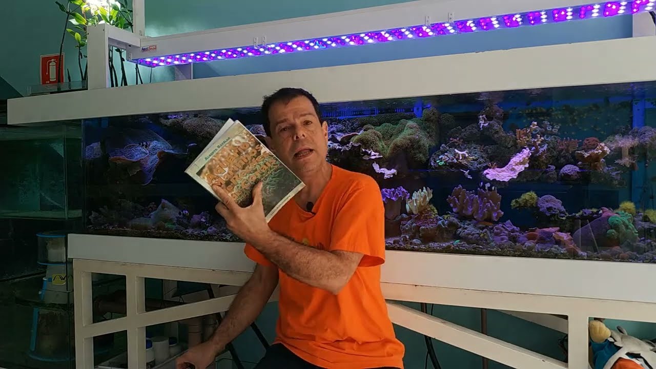 Como Abaixar Nitrato, Fosfato, Silicato - Controle de Algas - Aquashow - Parte 210