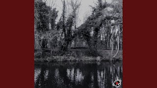 Verdant (Original Mix)