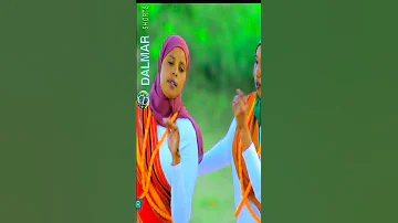 Dhaanto L Abwaan Nuur Goosaar 