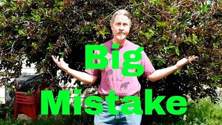 Biggest Gardening Mistakes -  Forgetting the Future