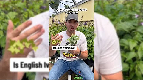 🍃Is English Ivy really that invasive?
