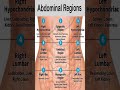 Nine Abdominal Regions # Human anatomy Mp3 Song