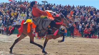 Tibetan famous horse 🐎 riding collection. (བོད་མདོ་ཁམས་རྟ་མཆོག་འགྲིས་མ་ཁག་གཅིག་) part-1