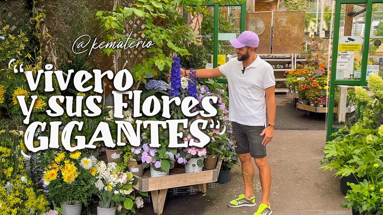 Camden Garden Centre - Un Viaje entre Flores Coloridas y Plantas Sorprendentes Exoticas en Londres
