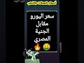 سعر اليورو اليوم مقابل الجنية المصري في البنوك المصرية منوعات ابراهيم ابو كلام 