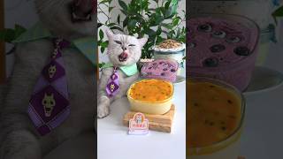 Homemade Ice Cream That Rival Häagen-Dazs 🍨🥭#Catsofyoutube  #Tiktok #Shorts
