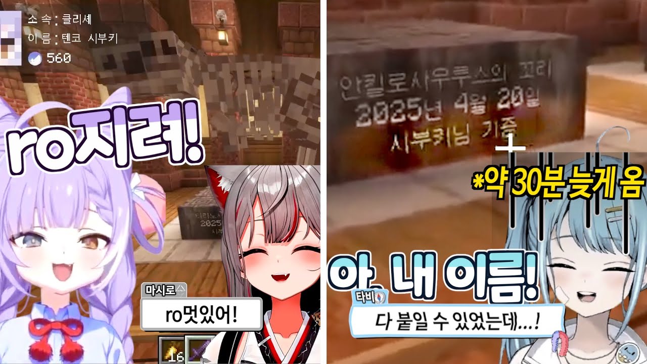 박물관이 오픈되어 기증하는 클립 [텐코시부키(w.마시로,타비)클립/스텔마크]