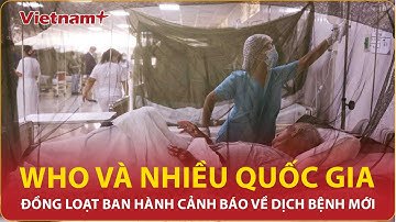 WHO và nhiều quốc gia đồng loạt ban hành cảnh báo về dịch bệnh mới: Thông tin nóng mức độ nguy hiểm