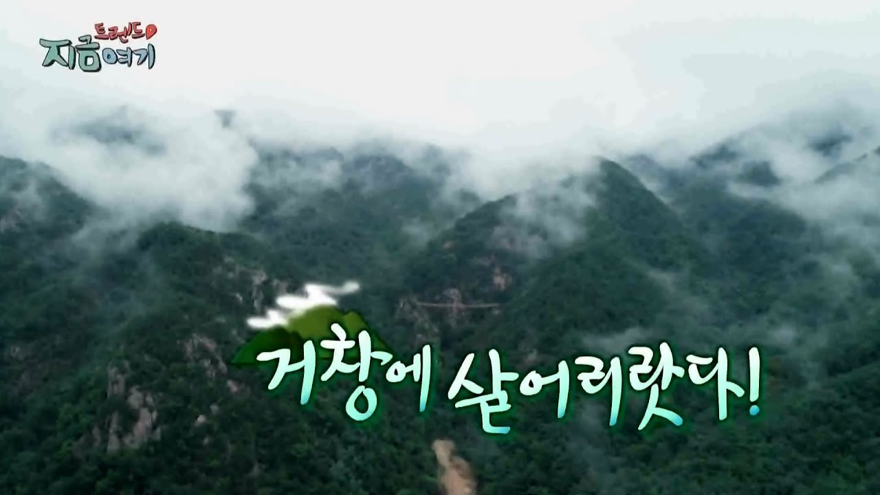 newspaper mockup [트렌드 지금 여기] 거창에 살어리랏다! / 연합뉴스TV (YonhapnewsTV)