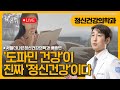 도파민 건강이 진짜 정신 건강이다 / 정신과 전문의 배종빈