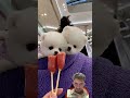Pets, One Big Hug#Caught with a Handful of Happiness#Fluffy Squad Goals teddy cute pet part 1