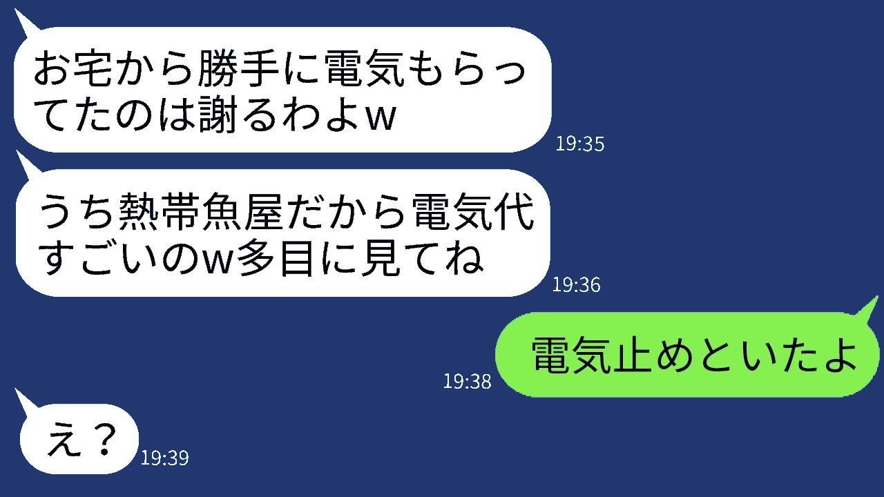突然、我が家の電気代が毎月5万円になった。隣の熱帯魚店を経営しているママ友が盗んでいたことが判明。「電気代がかかるから助かるw」と言っていたので、頭に来て電気を止めたら、彼女の店は大混乱にwww