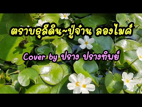 ตราบธุลีดิน~ปู่จ๋าน ลองไมล์[ Cover by ปราง ปรางทิพย์