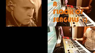 A Flock Of Seagulls - Wishing (COVER)