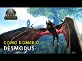 Como domar o Desmodus