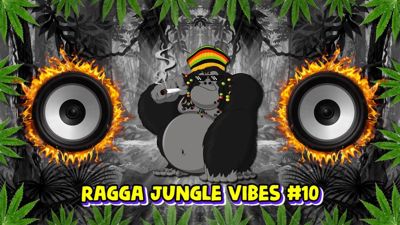 Ragga Jungle Drum & Bass Vibes 10 (Reggae DnB Mix) YouTube