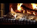 24 Hrs Purring Cat With Cozy Fireplace No Ads рџ Ґ You Will Relax And Fall Asleep Instantly 24 Hrs Purring Cat With Cozy Fireplace No Ads рџ Ґ You Will Relax And Fall Asleep Instantly