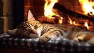 24 Hrs Purring cat with cozy Fireplace (No Ads) 🔥 You will relax and fall asleep instantly