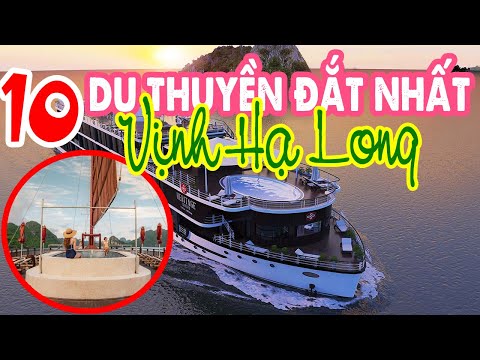 Video: 8 Dòng Du thuyền Sang trọng Tốt nhất năm 2022