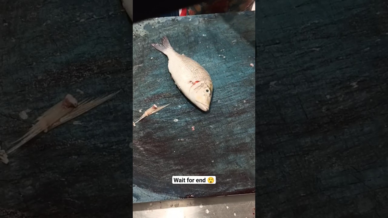 sheri fish cutting ✂ grilled cutting 🔪 fish 🐠🐋🐟 #shorts