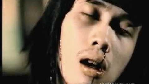 The S.I.G.I.T. - Black Amplifier (accoustic)