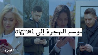 من سينتصر في النهاية واتساب أم سيجنال؟