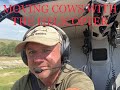Moving Cows With The Helicopter on The Ranch