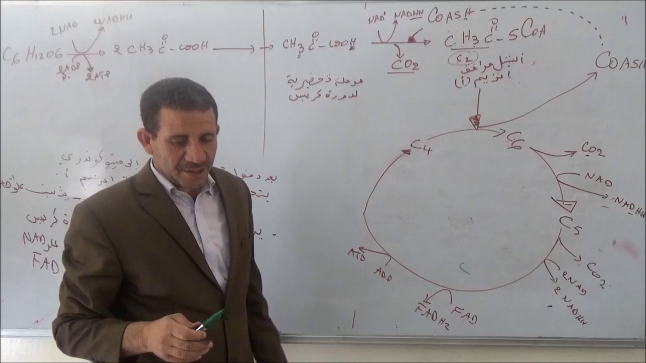 الأستاذ زبدة عيسى : بكالوريا المجال 2