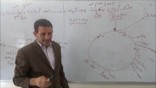 المجال2 :  التنفس الجزء2