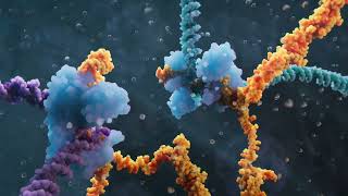 Celebrity The Bridge Recombinase Mechanism – Next Generation Genome Design Profile