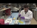 Personalized Treatment for Alcohol Addiction - Markus Heilig, NIH Clinician Scientist