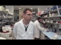 Personalized Treatment for Alcohol Addiction - Markus Heilig, NIH Clinician Scientist