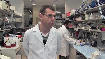 Personalized Treatment for Alcohol Addiction - Markus Heilig, NIH Clinician Scientist