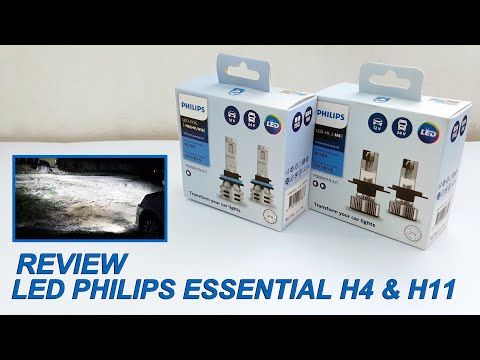 Philips Automotive Lighting H11 Visionplus