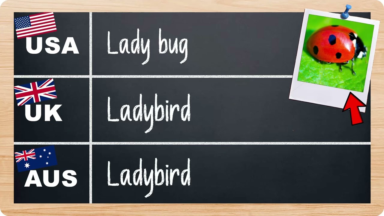 Cultural Language: The Outdoors