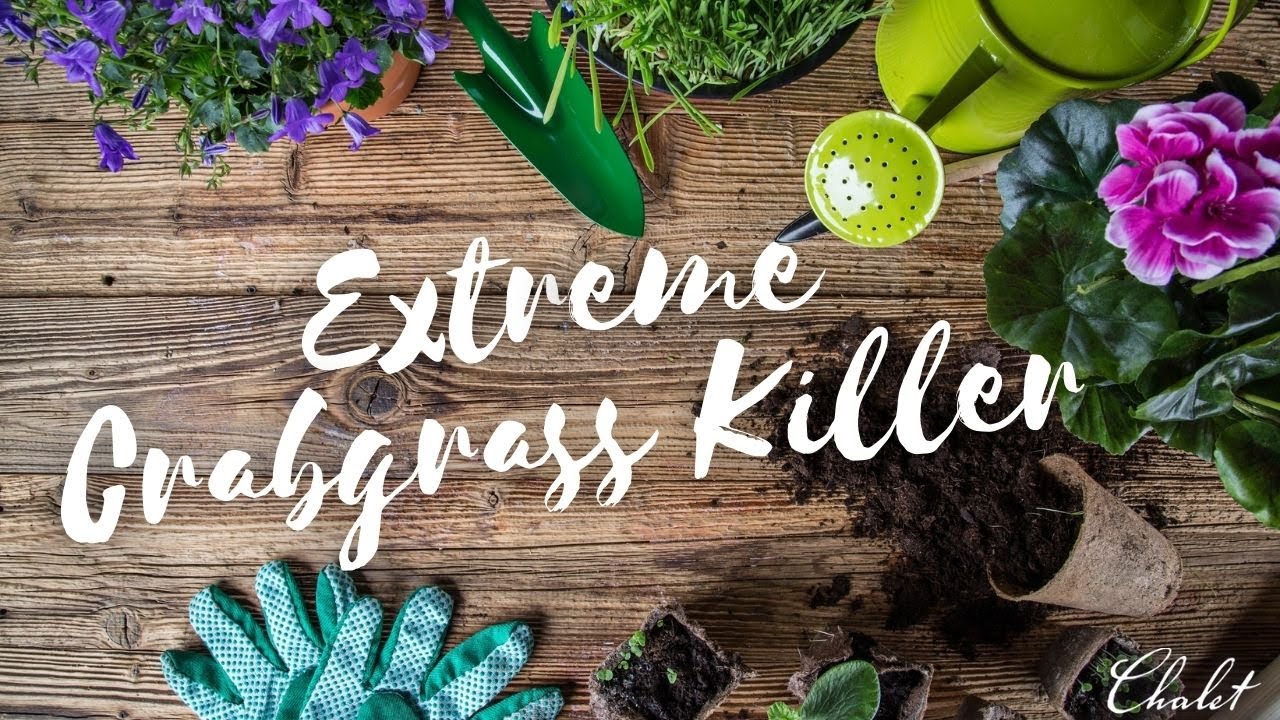 Chalet Extreme Crabgrass Killer BioAdvanced Crabgrass Killer YouTube