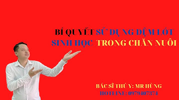 Cách sử dụng đệm lót sinh học trong chăn nuôi cùng chuyên gia bác sĩ thú y Vũ Văn Hùng