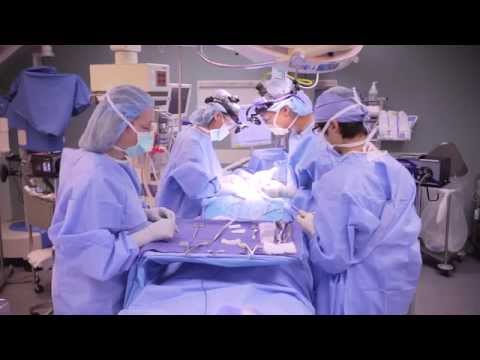 Parathyroid Surgery | UCLA Endocrine Surgery