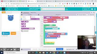 CS Discoveries U3L18 levels 1-5 Collisions